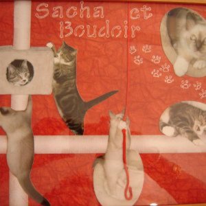 Sacha et Boudoir