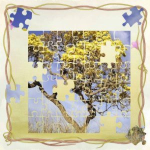 vraiment essai puzzle