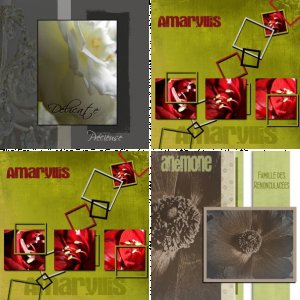 Au nom des Fleurs