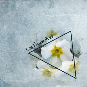 J-c192 - LES PRIMEVERES.jpg