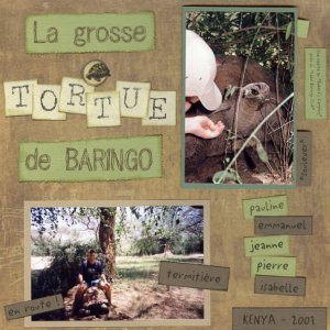 La grosse tortue de Baringo