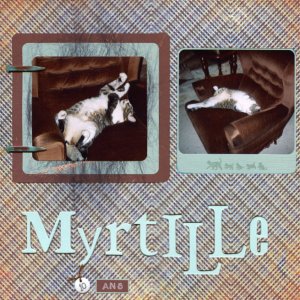 Myrtille 10 ans