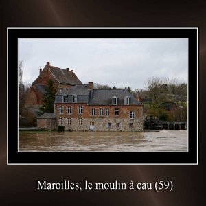 Maroilles_2