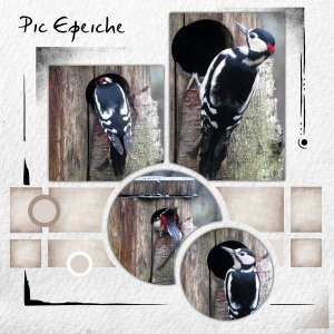 Pic_Epeiche