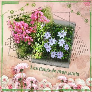 Les_fleurs_de_mon_jardin2