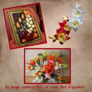 la_page_comestible