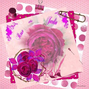 rose_semaine_10