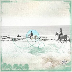 chevaux sur la plage