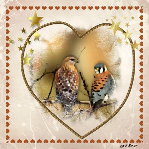 couple_d_oiseaux1