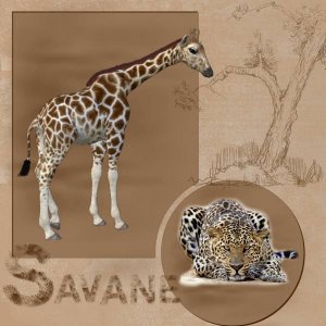 Savane