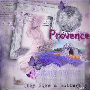 Provence8
