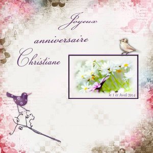 joyeux anniversaire Christiane