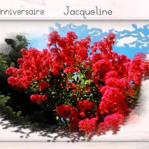 pour Jacqueline