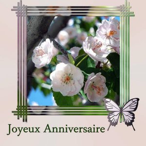 Joyeux Anniversaire Scrap De Jeff Jean Francois Forum Le Monde Du Scrap