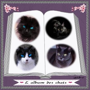 album_de_scats