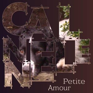 CANNELLE Petite Amour