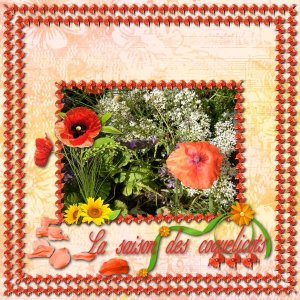Les coquelicots