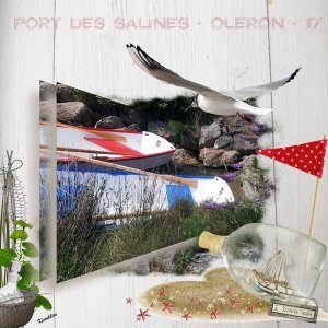 port des Salines -Oléron-17