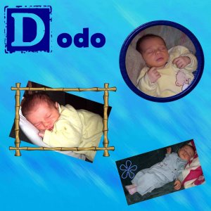 Dodo1