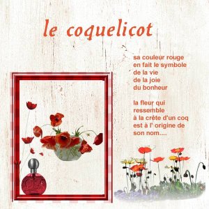 coquelicot-d__fit_rouge_