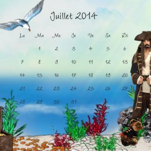 Calendrier juillet 2014