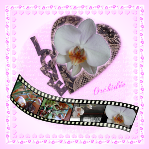 i love orchidée photomaton