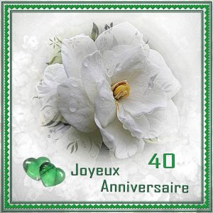 40 ANS - EMERAUDE - JOYEUX ANNIVERSAIRE de MARIAGE