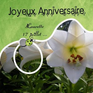 Bon anniversaire Laurette...