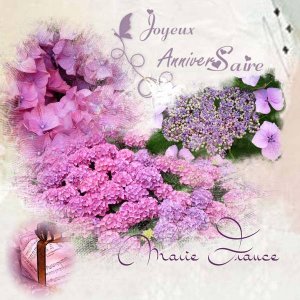 Joyeux anniversaire Marie France...