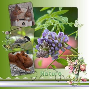 La_nature2