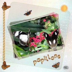 Défi Laurette semaine 30 - papillon