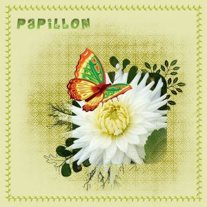 Papillon