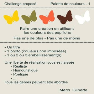 CHALLENGE--PALETTE DE COULEURS