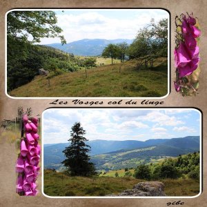 les_vosges