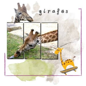 girafes