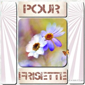 pour Frisette