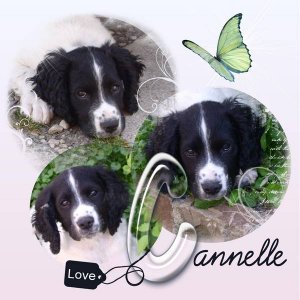 LOVE CANNELLE