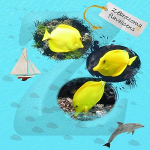 Poisson chirurgien jaune