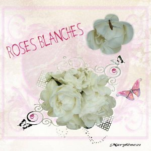 ROSES BLANCHES