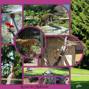 Zoo_de_Mulhouse_2