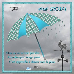 d__fi_parapluie1