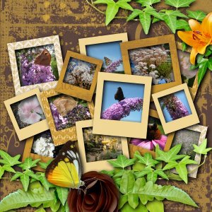 Golden Summer de LeaUgoScrap