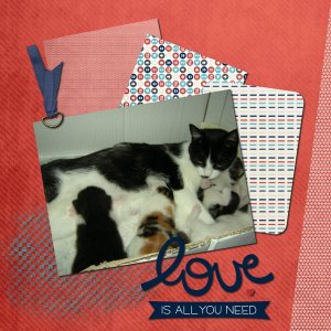 Take a picture de LeaUgoScrap