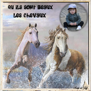 Les chevaux. et notre petit-fille.