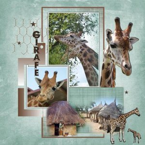 Girafe5