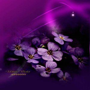 Défi Laurette - Sem 38 - Mauve à violet 2
