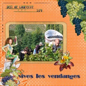 Vives les vendanges