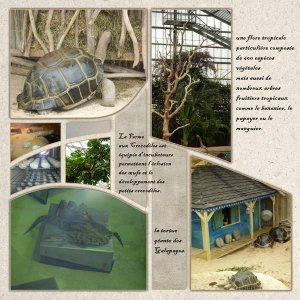 la_ferme_aux_crocodiles_1__page_5_