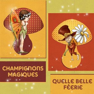 CHAMPIGNONS MAGIQUES - QUELLE BELLE FEERIE