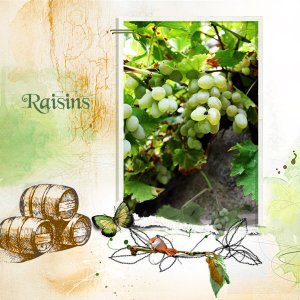 Defi Raisins